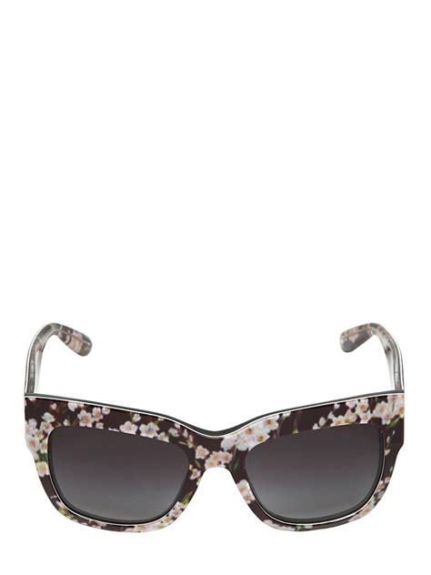 dolce gabbana flower sunglasses|dolce gabbana sunglasses men's.